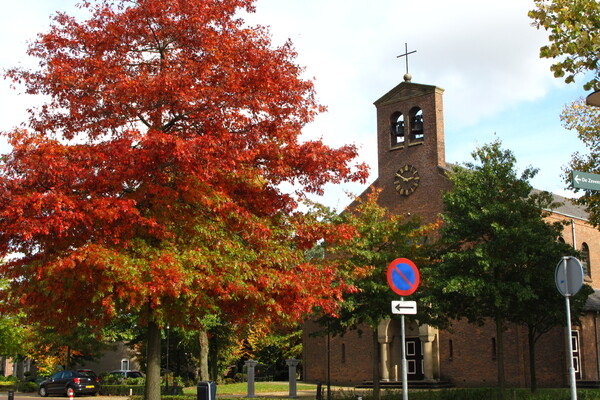 Foto locate Maashees, Herontwikkeling Kerk (Opent de afbeelding vergroot weer)