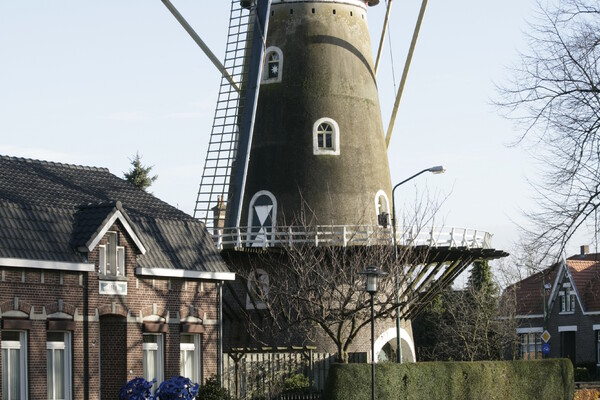 Foto van de molen, locatie Rijkevoort, achter de Molen fase 3 (Opent de afbeelding vergroot weer)